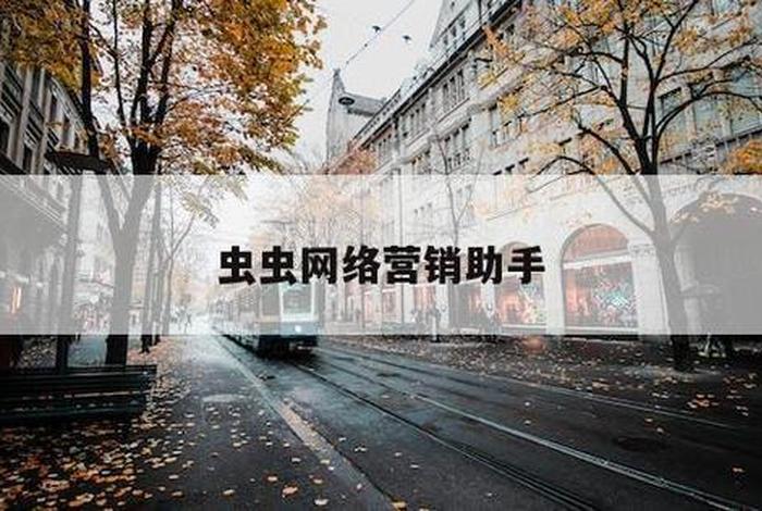 seo虫虫营销助手（虫虫营销软件好用吗）