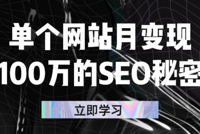 seo变现手段（seo怎么赚钱今后趋势）