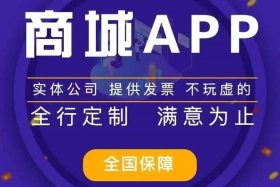 app开发定制 想自己弄个app商城