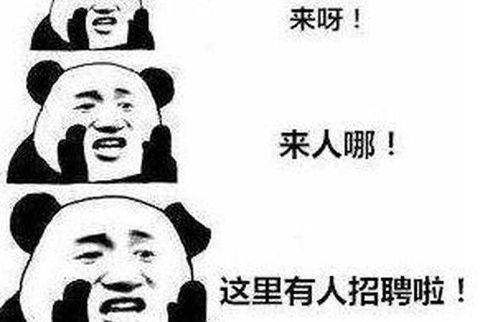 seo工作累吗，seo专员找工作