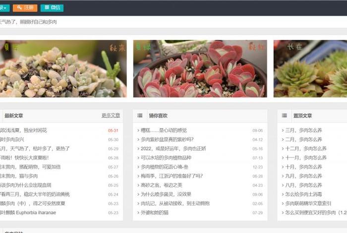 seo网站优化平台 seo搜索引擎排名优化
