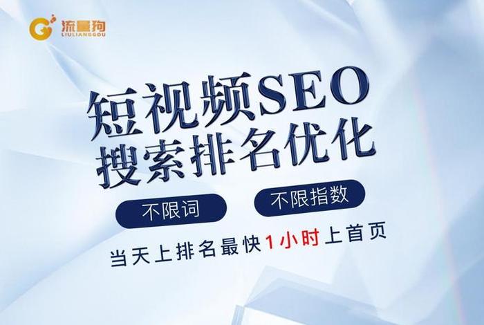 seo搜索短视频推广入口 网站推广找