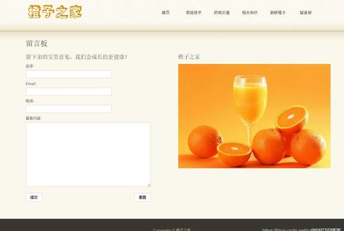 html网站作业、web简单网页设计作业