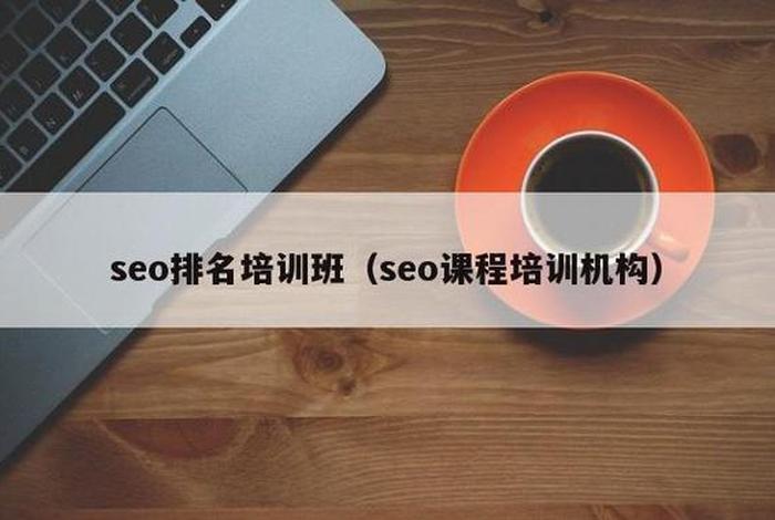 seo高端培训（seo企业培训班）