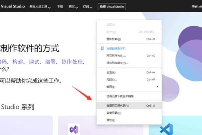 wordpress查看访问记录，wordpress域名插件