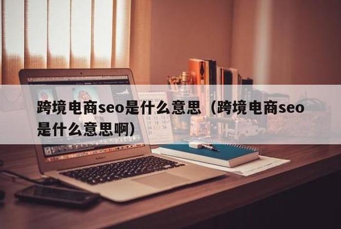 seo电商是什么意思、seo是什么啊