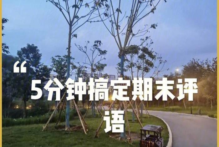 aa期末评语生成器在线生成网站 - 删除线生成器