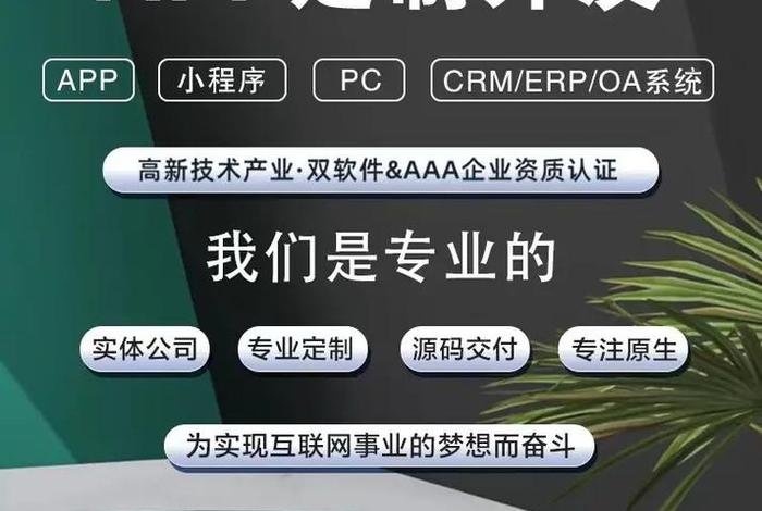 app平台开发定制软件；开发app