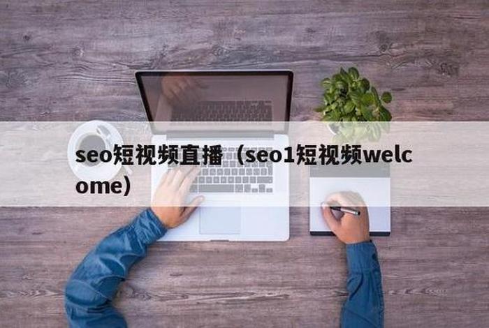 seo短视频网站入口；seo短视频网站入口引流