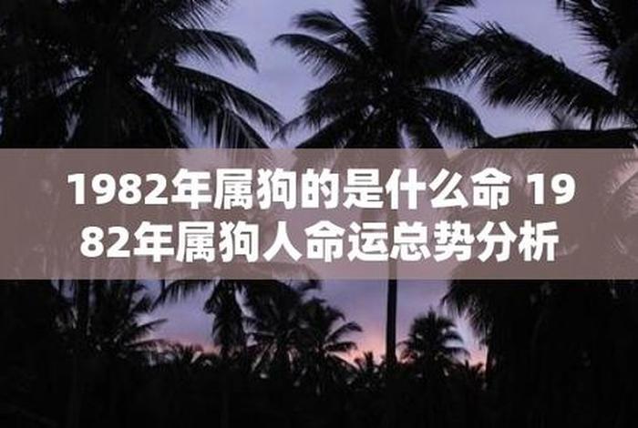 1982年属什么 82年狗42岁是不是有一劫