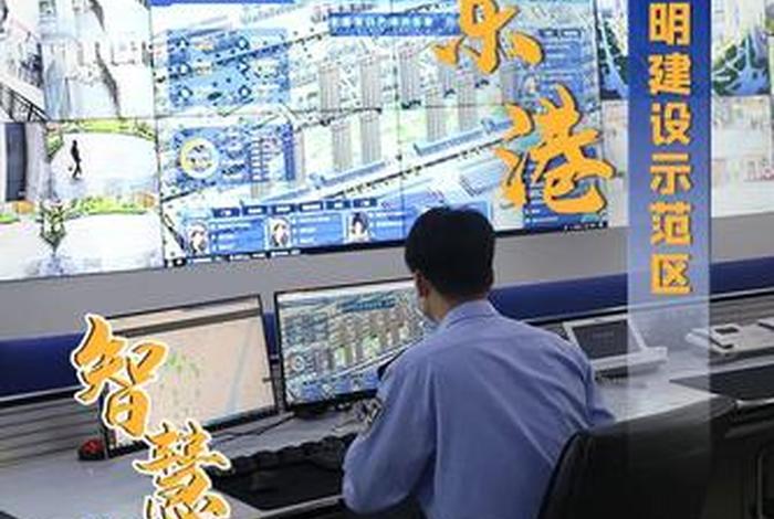 东港公司网站建设、东港公司网站建设招标