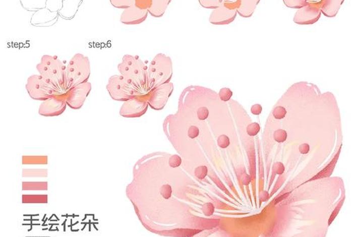 ps插画教程自学入门视频、ps课程教学零基础