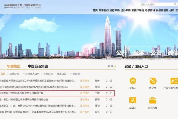 东港公司网站建设、东港公司网站建设招标