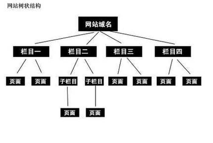 seo3的空间结构（seo3的空间结构是什么）