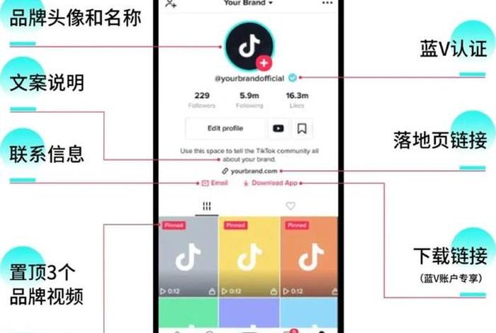 seo博客 seo博客每日更新节点