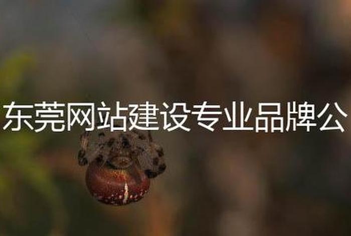 东莞网站建设建站公司有哪些 东莞网站建设建站公司有哪些项目