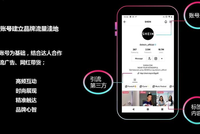 tiktok网络搭建教程 tiktok+独立站