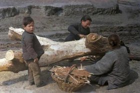 1942；1942年发生了什么历史事件
