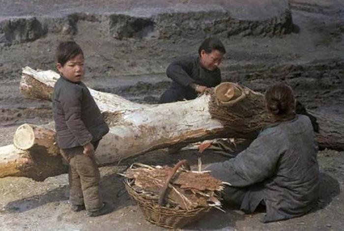 1942；1942年发生了什么历史事件
