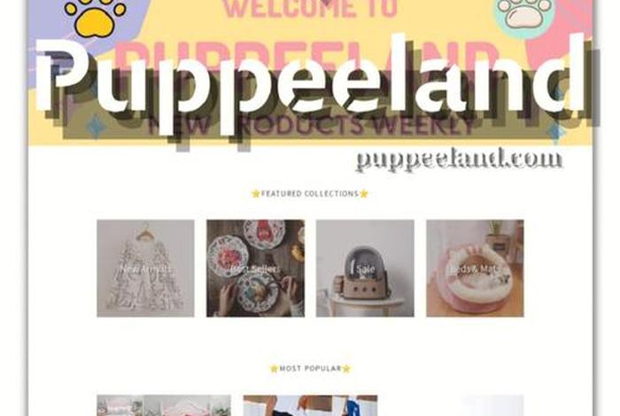 shopify独立站官网进不去、Shopify独立站
