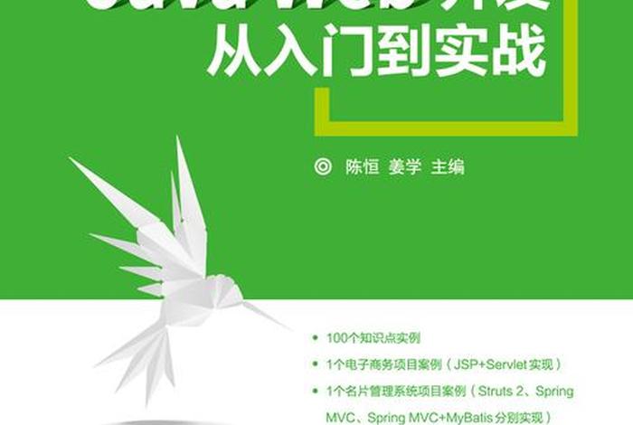 web设计基础，java web应用开发