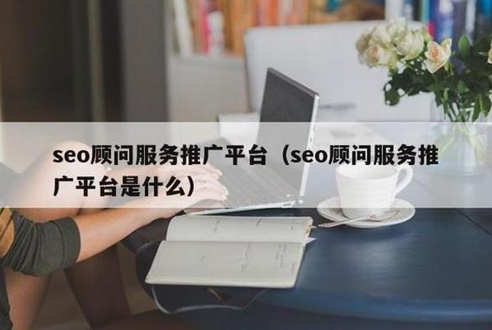 seo顾问推广软件（seo顾问赚钱吗）