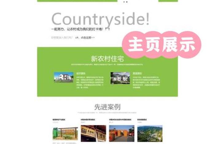 web前端开发代码代写；网页设计代码大全