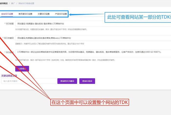 seo网址布局、网站seo设置是什么