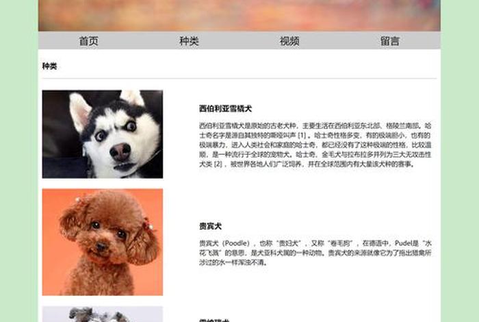 html成品网站，大学生网页设计作业