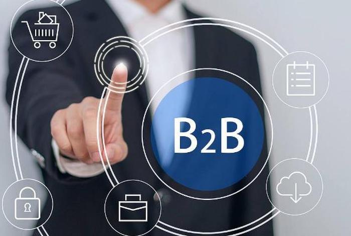 公司b2b账户是什么，b2b企业是什么