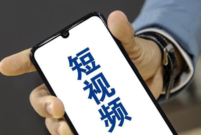 seo2短视频发布，seo1视频发布者