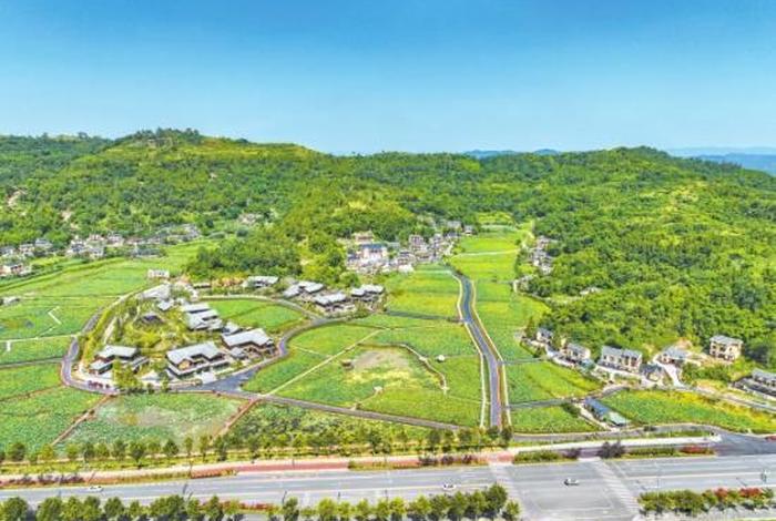 大足网站建设公司（大足平台公司）