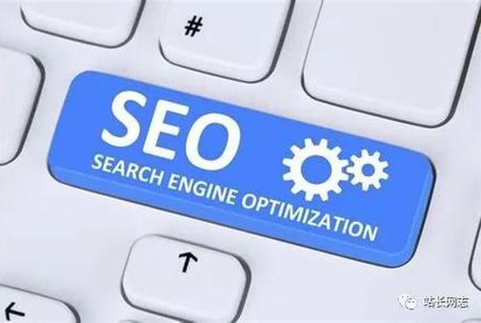 seo的知识seo外链专员（seo外链类型有哪些）