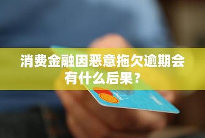 恶意拖欠商城欠款一案 - 恶意拖欠立案会如何处罚