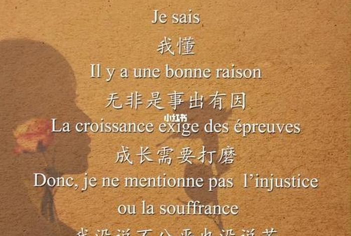 法语公司介绍；法语公司介绍文案