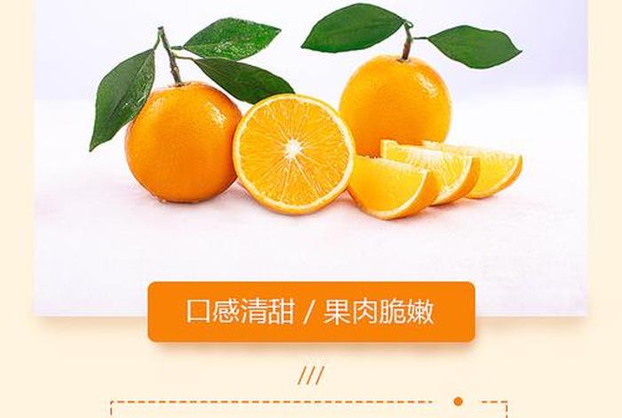 橙子建站是干什么的软件、橙子建站为什么审核不通过