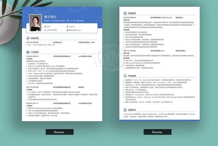 web网页下载 开发人员web简历作品