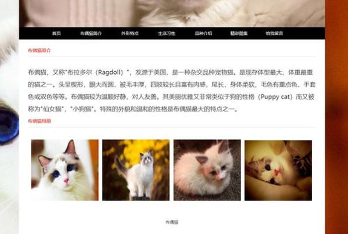 web网站源码设计 web前端项目实例网站含代码