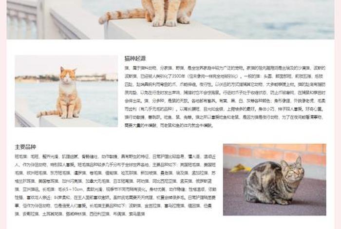 html网页制作代码大全css、html5动态网页代码