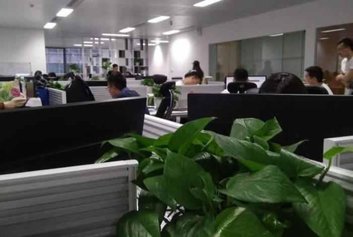 北京的外包建站公司，bjc外包公司