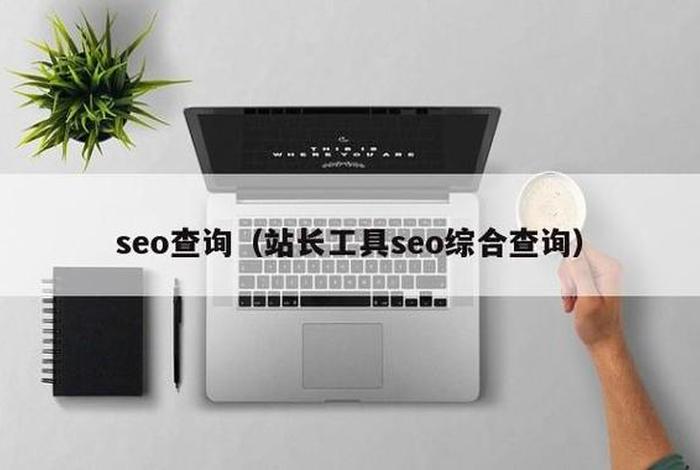 seo综合查询国产 站长工具seo综合查询