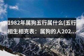 1982年属什么 82年狗42岁是不是有一劫