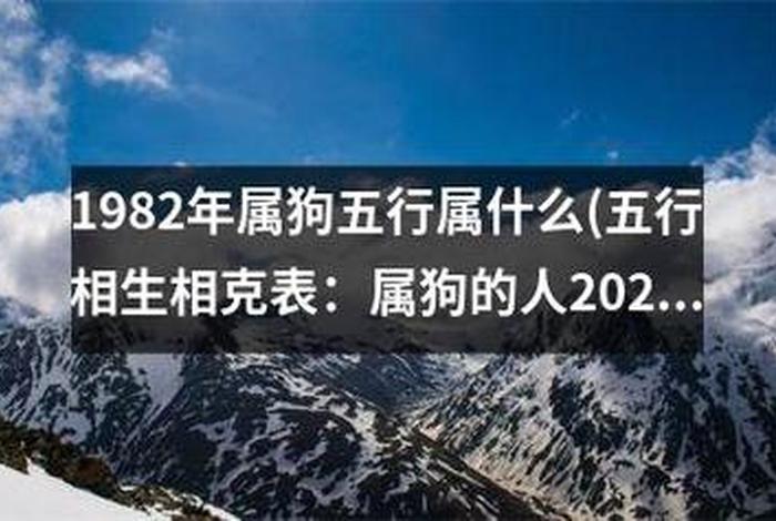 1982年属什么 82年狗42岁是不是有一劫
