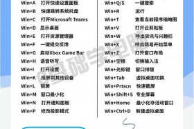 0基础学seo，0基础学电脑从哪里入手