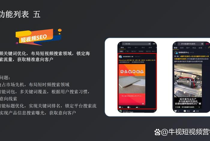 seo短视频软件、百度seo点击软件