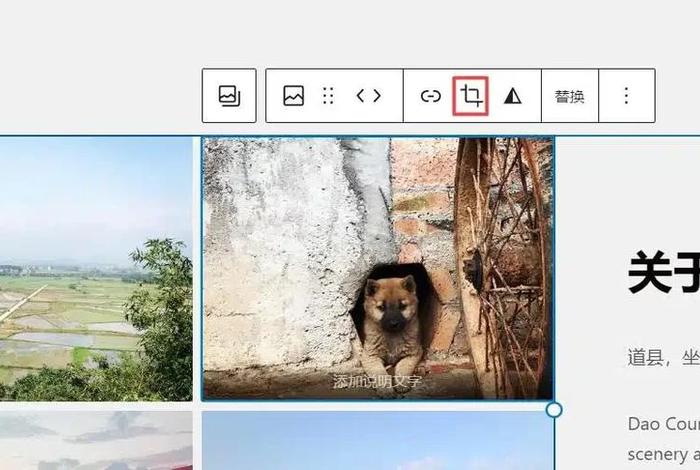 wordpress教程苹果电脑，wordpress使用教程