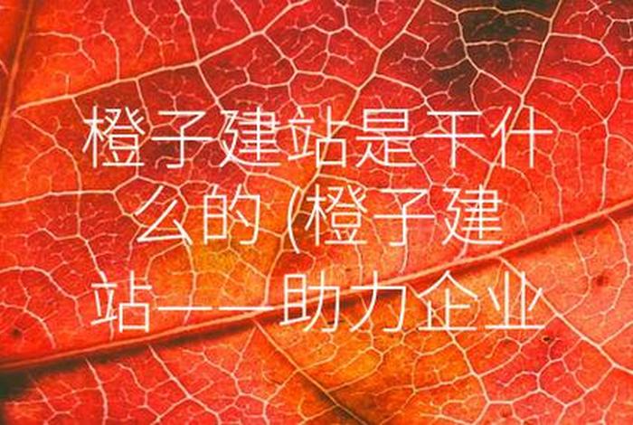 橙子建站是什么 - 橙子建站是什么单位