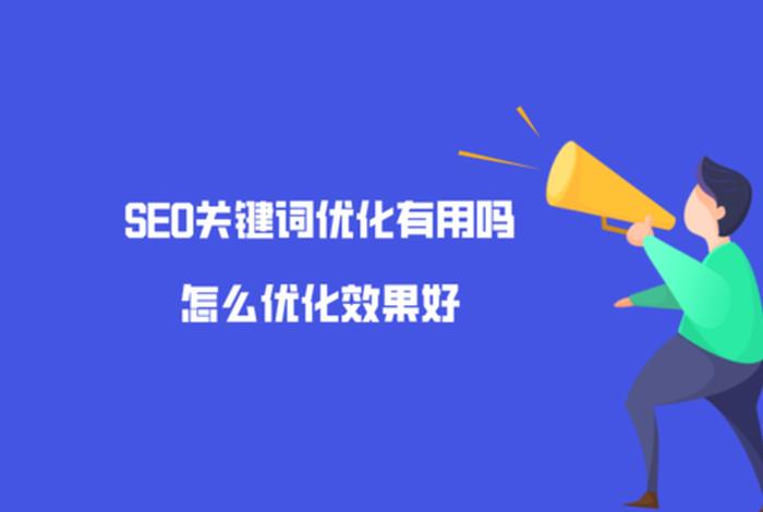 SEO关键词进行优化，seo关键词优化软件