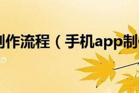 app制作公司，如何自己创建一个app