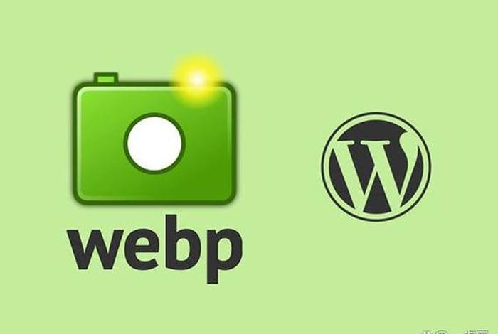 wordpress公司视频 wordpress入口